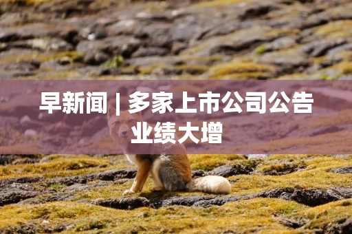 早新闻 | 多家上市公司公告业绩大增