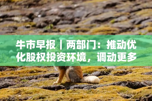 牛市早报｜两部门：推动优化股权投资环境，调动更多资金和资源支持试点
