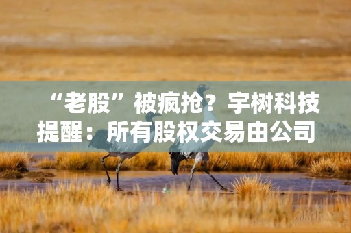 “老股”被疯抢？宇树科技提醒：所有股权交易由公司直接沟通管理，不存在任何中间人