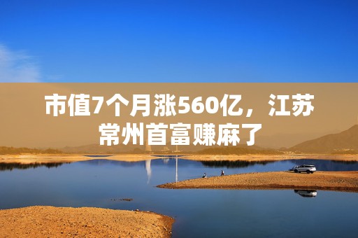 市值7个月涨560亿，江苏常州首富赚麻了