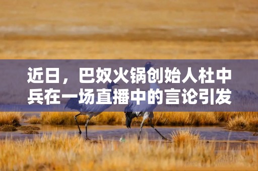 近日，巴奴火锅创始人杜中兵在一场直播中的言论引发轩然大波。在
