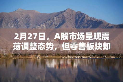 2月27日，A股市场呈现震荡调整态势，但零售板块却逆势上扬，