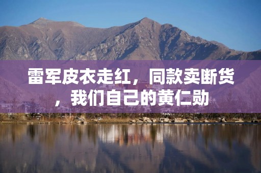 雷军皮衣走红，同款卖断货，我们自己的黄仁勋