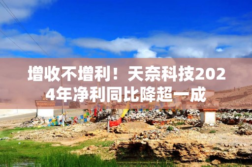 增收不增利！天奈科技2024年净利同比降超一成