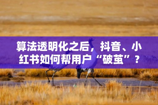 算法透明化之后，抖音、小红书如何帮用户“破茧”？