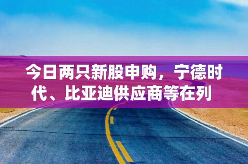 今日两只新股申购，宁德时代、比亚迪供应商等在列 | 打新早知道