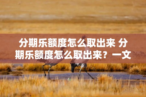 分期乐额度怎么取出来 分期乐额度怎么取出来？一文搞懂！