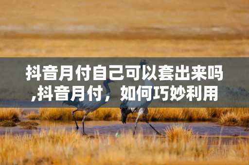 抖音月付自己可以套出来吗,抖音月付，如何巧妙利用平台功能实现资金套现？
