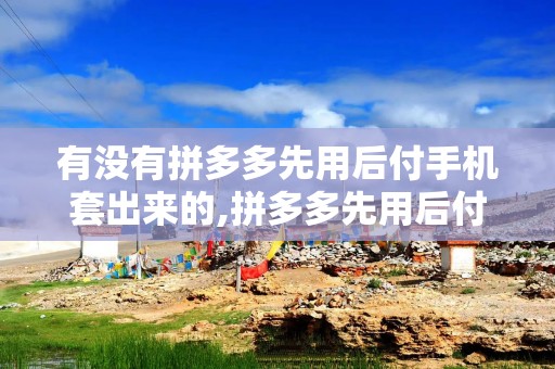 有没有拼多多先用后付手机套出来的,拼多多先用后付手机套的秘密揭秘