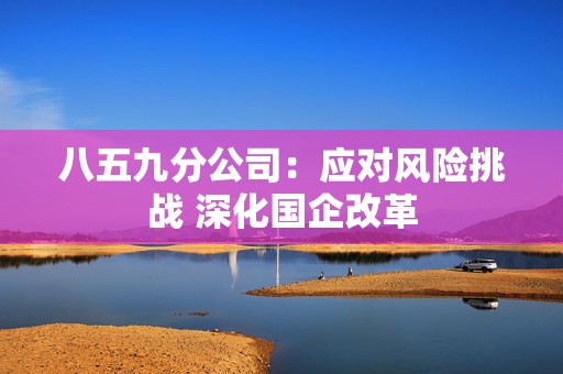 八五九分公司：应对风险挑战 深化国企改革