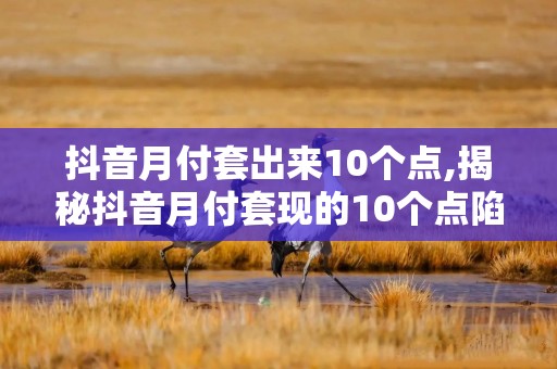 抖音月付套出来10个点,揭秘抖音月付套现的10个点陷阱