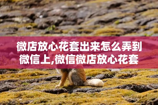 微店放心花套出来怎么弄到微信上,微信微店放心花套，轻松实现商品快速上线