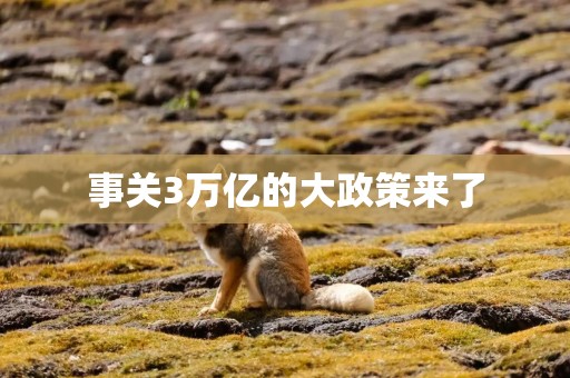 事关3万亿的大政策来了