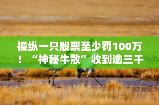 操纵一只股票至少罚100万！“神秘牛散”收到逾三千万罚单