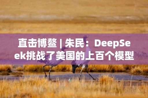 直击博鳌 | 朱民：DeepSeek挑战了美国的上百个模型，证明了我们有很棒的工程师
