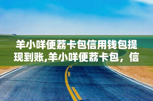 羊小咩便荔卡包信用钱包提现到账,羊小咩便荔卡包，信用钱包的便捷与安全