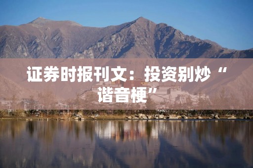 证券时报刊文：投资别炒“谐音梗”