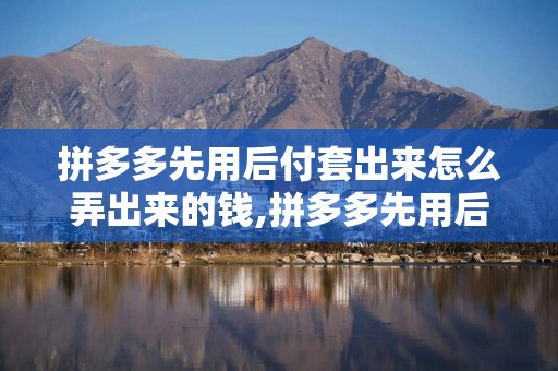 拼多多先用后付套出来怎么弄出来的钱,拼多多先用后付套现流程与风险分析