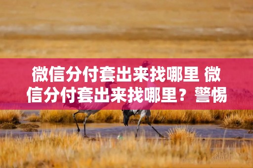 微信分付套出来找哪里 微信分付套出来找哪里？警惕风险，切勿触碰法律红线！
