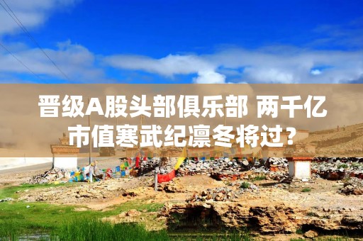 晋级A股头部俱乐部 两千亿市值寒武纪凛冬将过？