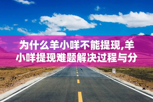 为什么羊小咩不能提现,羊小咩提现难题解决过程与分析
