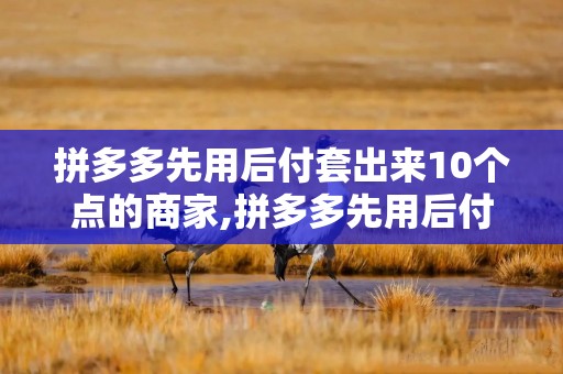 拼多多先用后付套出来10个点的商家,拼多多先用后付套出来10个点的商家，策略与技巧