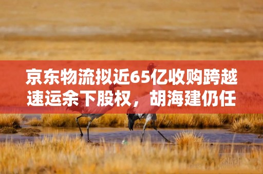 京东物流拟近65亿收购跨越速运余下股权，胡海建仍任董事长