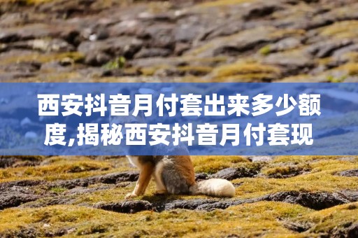 西安抖音月付套出来多少额度,揭秘西安抖音月付套现的额度真相