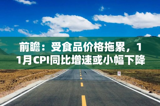 前瞻：受食品价格拖累，11月CPI同比增速或小幅下降