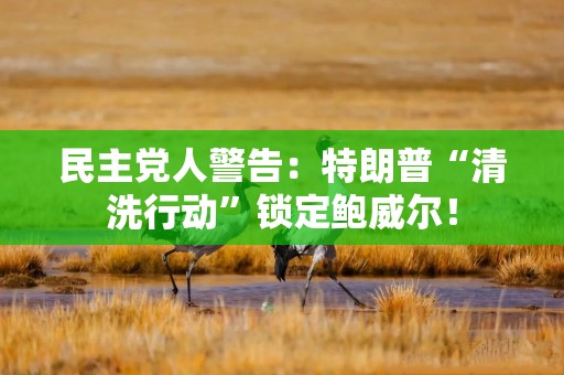 民主党人警告：特朗普“清洗行动”锁定鲍威尔！
