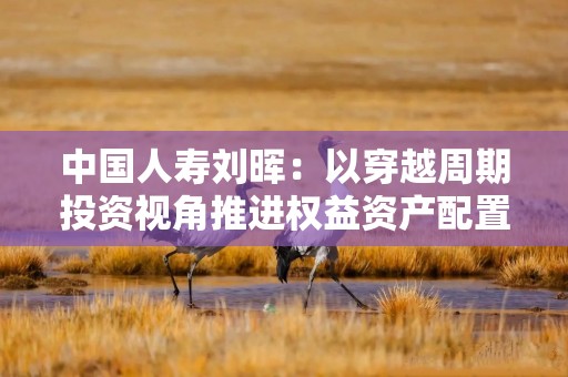 中国人寿刘晖：以穿越周期投资视角推进权益资产配置