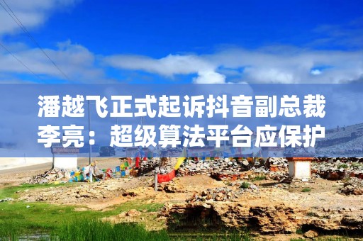潘越飞正式起诉抖音副总裁李亮：超级算法平台应保护网民合法权益
