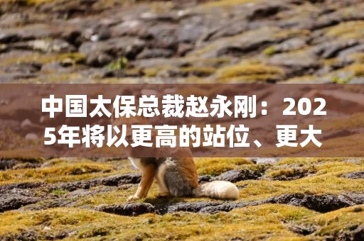 中国太保总裁赵永刚：2025年将以更高的站位、更大的决心、更实的举措来继续做好金融“五篇大文章”