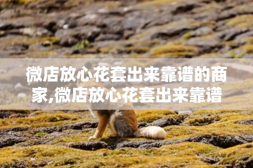 微店放心花套出来靠谱的商家,微店放心花套出来靠谱的商家