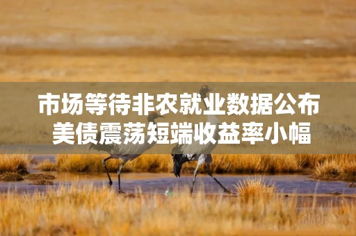 市场等待非农就业数据公布 美债震荡短端收益率小幅上行