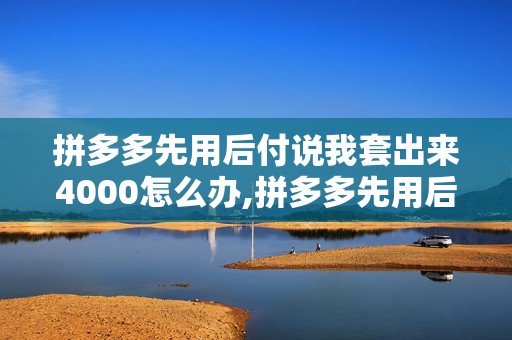 拼多多先用后付说我套出来4000怎么办,拼多多先用后付说我套出来4000怎么办？解决过程与经验分享
