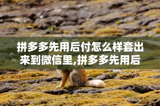 拼多多先用后付怎么样套出来到微信里,拼多多先用后付的秘密，如何轻松套现到微信