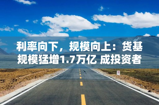 利率向下，规模向上：货基规模猛增1.7万亿 成投资者理财求稳首选