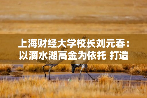 上海财经大学校长刘元春：以滴水湖高金为依托 打造新兴金融人才聚集体
