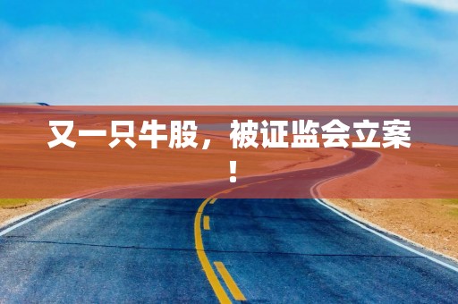 又一只牛股，被证监会立案！