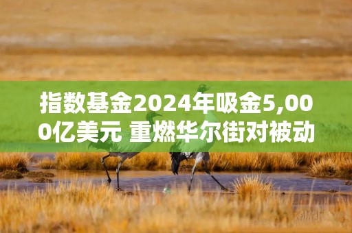 指数基金2024年吸金5,000亿美元 重燃华尔街对被动投资的争论