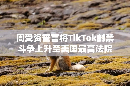 周受资誓言将TikTok封禁斗争上升至美国最高法院