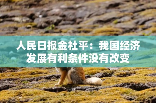 人民日报金社平：我国经济发展有利条件没有改变