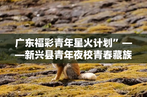 广东福彩青年星火计划”——新兴县青年夜校青春藏族舞蹈课圆满开展