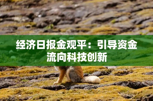 经济日报金观平：引导资金流向科技创新