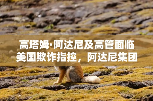 高塔姆·阿达尼及高管面临美国欺诈指控，阿达尼集团信誉和财务状况受重创