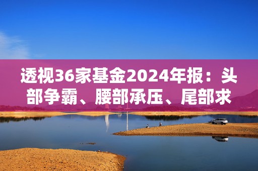 透视36家基金2024年报：头部争霸、腰部承压、尾部求生