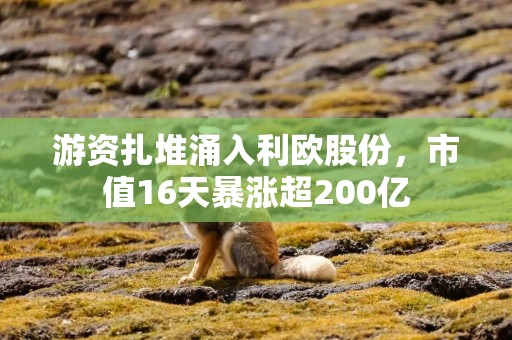 游资扎堆涌入利欧股份，市值16天暴涨超200亿