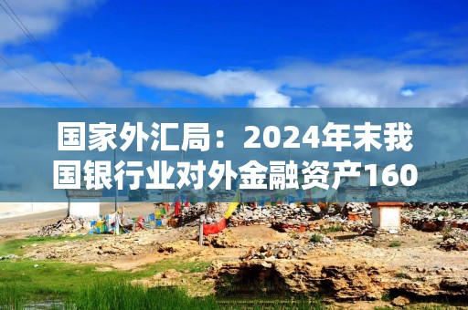 国家外汇局：2024年末我国银行业对外金融资产16094亿美元