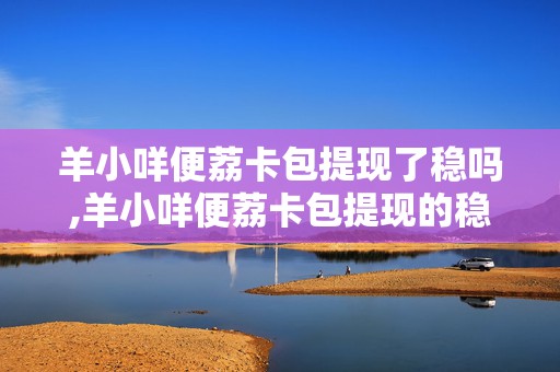 羊小咩便荔卡包提现了稳吗,羊小咩便荔卡包提现的稳与不稳——用户反馈与市场分析